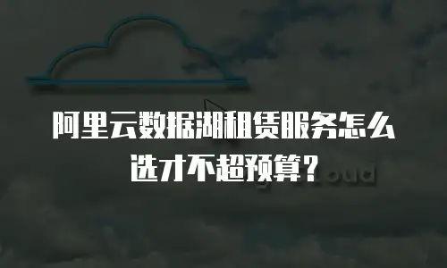 阿里云数据湖租赁服务怎么选才不超预算？