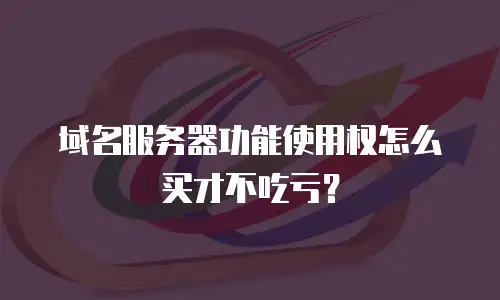 域名服务器功能使用权怎么买才不吃亏？