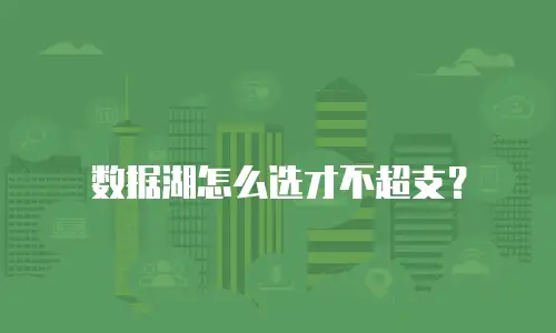 数据湖怎么选才不超支？
