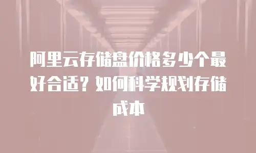 阿里云存储盘价格多少个最好合适？如何科学规划存储成本