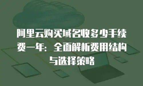 阿里云购买域名收多少手续费一年：全面解析费用结构与选择策略
