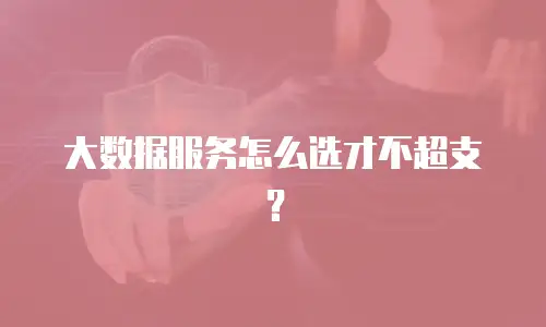 大数据服务怎么选才不超支？