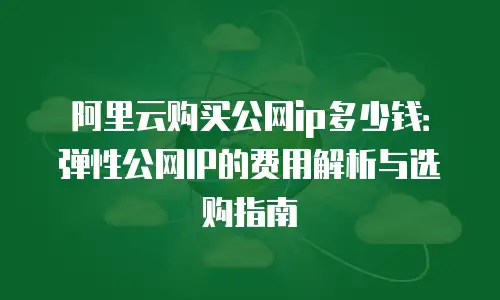 阿里云购买公网ip多少钱：弹性公网IP的费用解析与选购指南