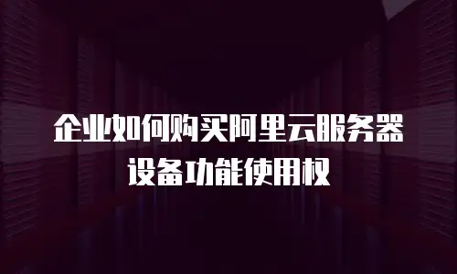 企业如何购买阿里云服务器设备功能使用权