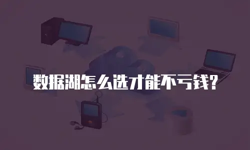 数据湖怎么选才能不亏钱？