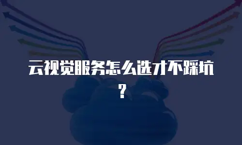 云视觉服务怎么选才不踩坑？
