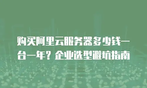 购买阿里云服务器多少钱一台一年？企业选型避坑指南