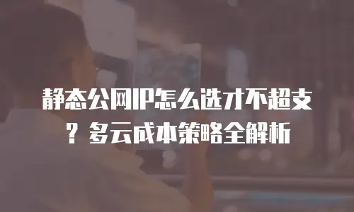 静态公网IP怎么选才不超支？多云成本策略全解析