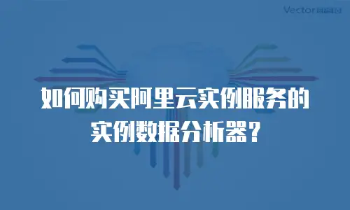 如何购买阿里云实例服务的实例数据分析器？