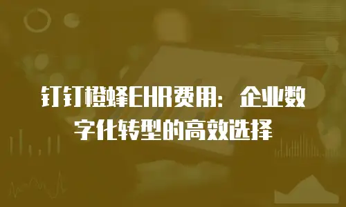 钉钉橙蜂EHR费用：企业数字化转型的高效选择