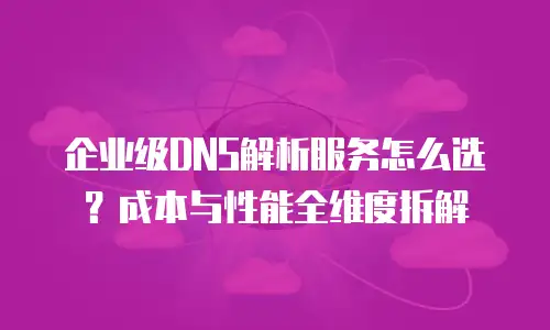 企业级DNS解析服务怎么选？成本与性能全维度拆解