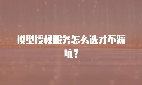 模型授权服务怎么选才不踩坑？