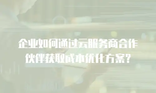 企业如何通过云服务商合作伙伴获取成本优化方案？