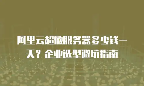 阿里云超微服务器多少钱一天？企业选型避坑指南