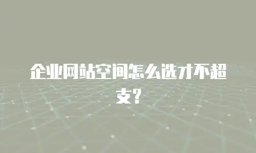 企业网站空间怎么选才不超支？