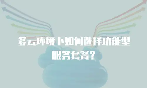 多云环境下如何选择功能型服务套餐？