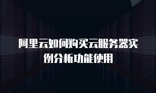 阿里云如何购买云服务器实例分析功能使用