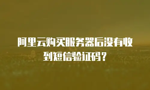 阿里云购买服务器后没有收到短信验证码？