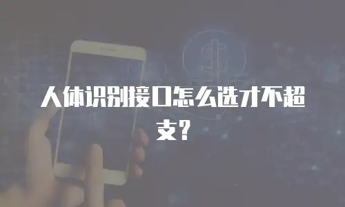 人体识别接口怎么选才不超支？