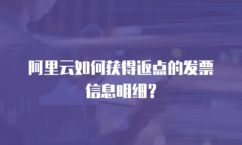 阿里云如何获得返点的发票信息明细？