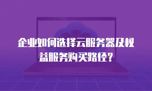 企业如何选择云服务器及权益服务购买路径？