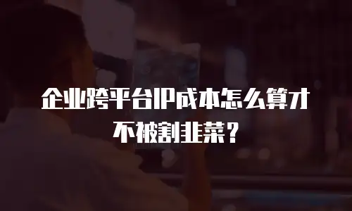 企业跨平台IP成本怎么算才不被割韭菜？
