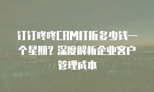 钉钉咚咚CRM打折多少钱一个星期？深度解析企业客户管理成本