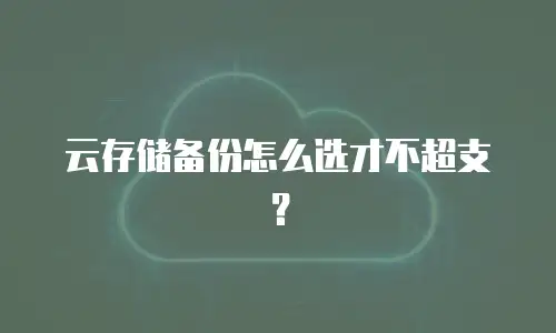 云存储备份怎么选才不超支？