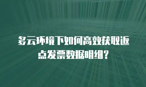 多云环境下如何高效获取返点发票数据明细？