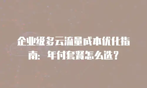 企业级多云流量成本优化指南：年付套餐怎么选？