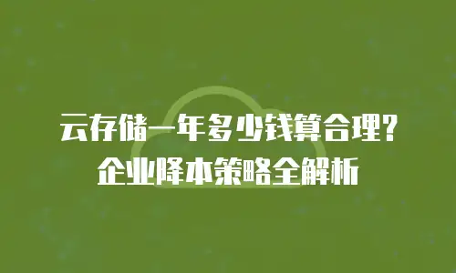 云存储一年多少钱算合理？企业降本策略全解析
