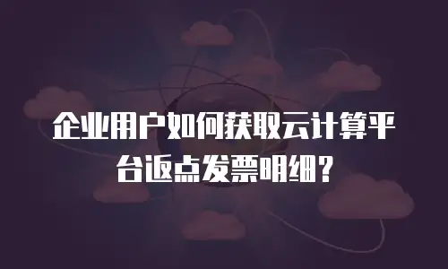 企业用户如何获取云计算平台返点发票明细？