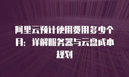 阿里云预计使用费用多少个月：详解服务器与云盘成本规划