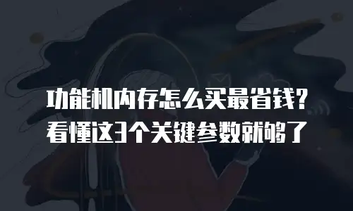 功能机内存怎么买最省钱？看懂这3个关键参数就够了