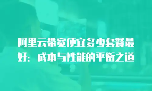 阿里云带宽便宜多少套餐最好：成本与性能的平衡之道