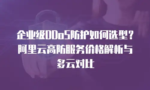 企业级DDoS防护如何选型？阿里云高防服务价格解析与多云对比