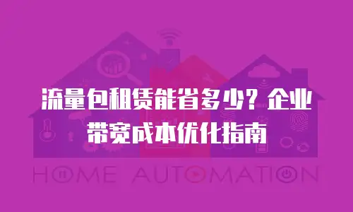 流量包租赁能省多少？企业带宽成本优化指南