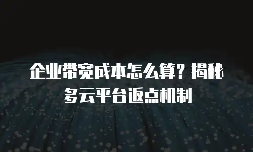 企业带宽成本怎么算？揭秘多云平台返点机制