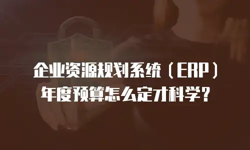 企业资源规划系统（ERP）年度预算怎么定才科学？
