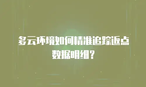 多云环境如何精准追踪返点数据明细？