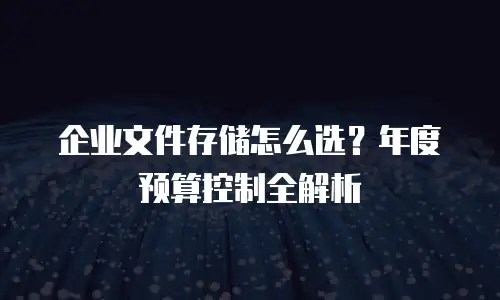 企业文件存储怎么选？年度预算控制全解析