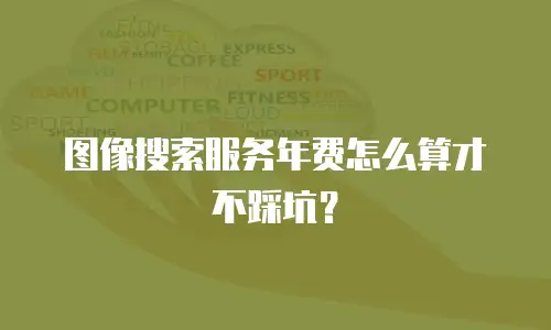 图像搜索服务年费怎么算才不踩坑？