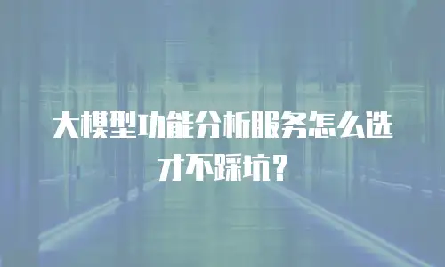 大模型功能分析服务怎么选才不踩坑？