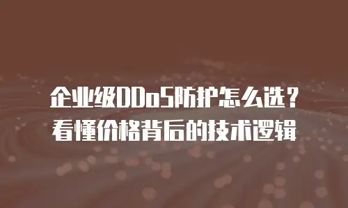 企业级DDoS防护怎么选？看懂价格背后的技术逻辑