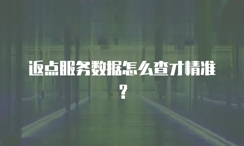 返点服务数据怎么查才精准？