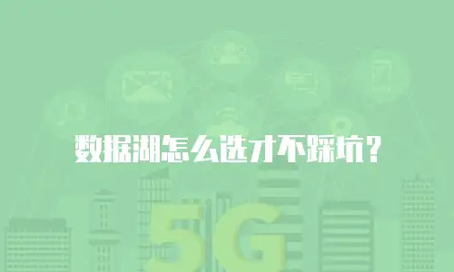 数据湖怎么选才不踩坑？