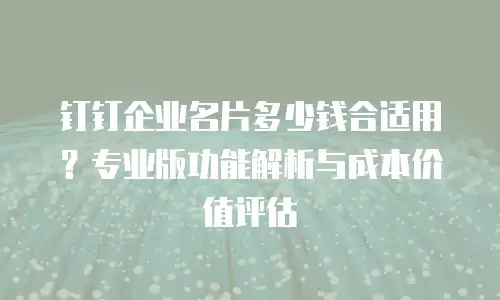 钉钉企业名片多少钱合适用？专业版功能解析与成本价值评估