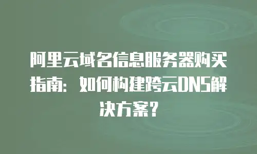 阿里云域名信息服务器购买指南：如何构建跨云DNS解决方案？