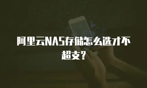 阿里云NAS存储怎么选才不超支？