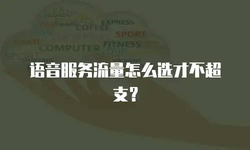 语音服务流量怎么选才不超支？